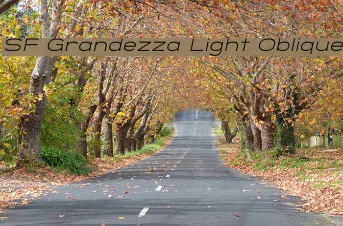 SF Grandezza Light Oblique Font examples