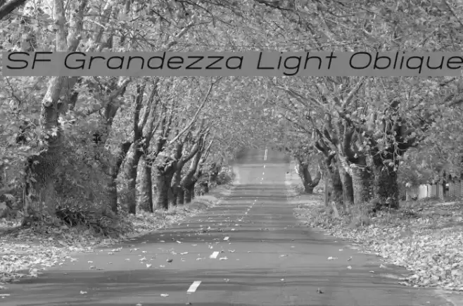 SF Grandezza Light Oblique फ़ॉन्ट examples