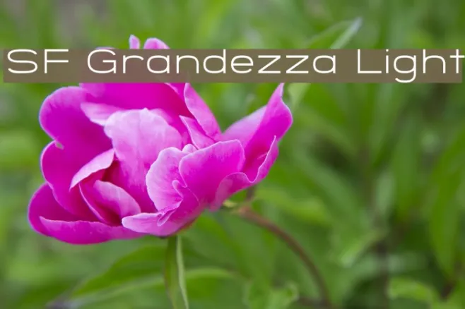 SF Grandezza Light Example 2