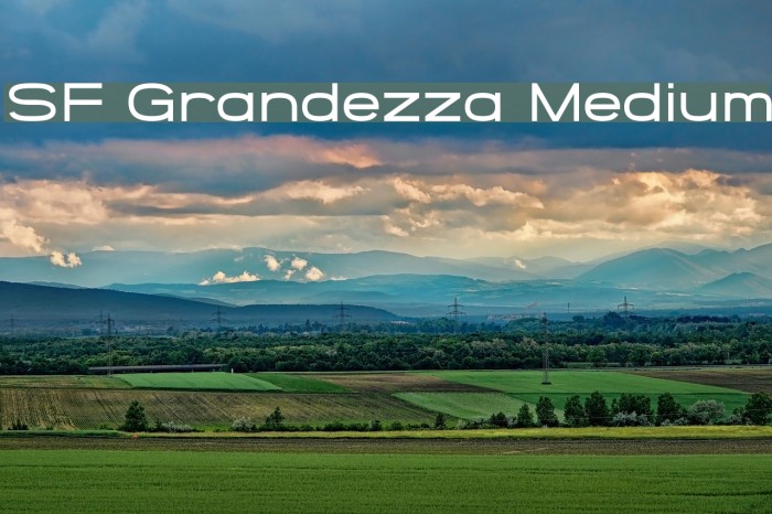 SF Grandezza Medium Font examples