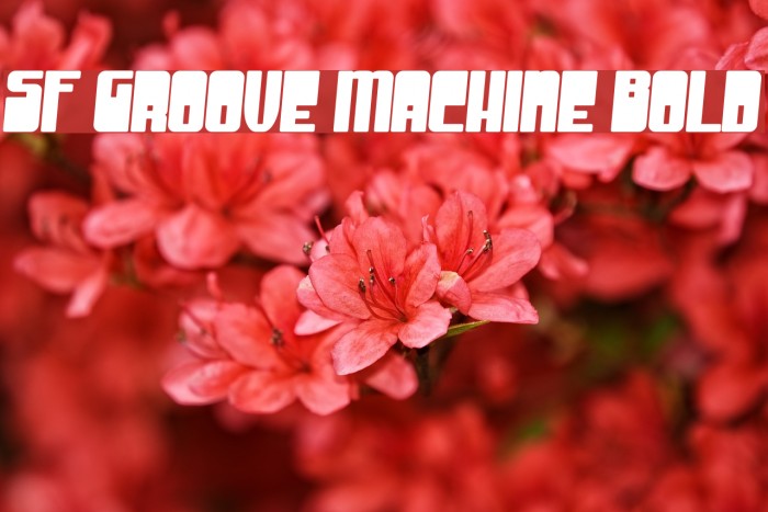 SF Groove Machine Bold Font examples