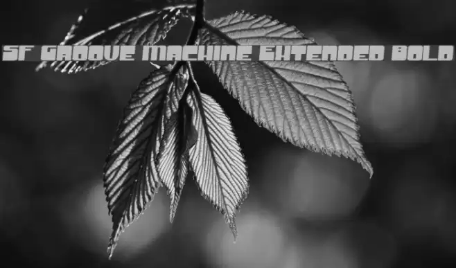 SF Groove Machine Extended Bold Font examples