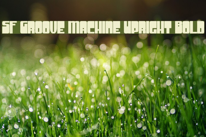 SF Groove Machine Upright Bold フォント examples