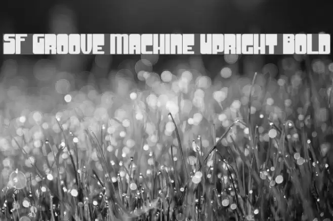 SF Groove Machine Upright Bold フォント examples