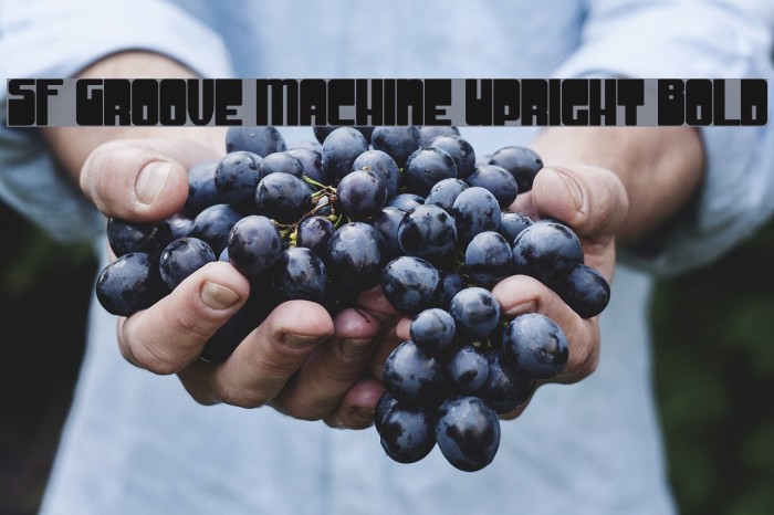 SF Groove Machine Upright Bold フォント examples