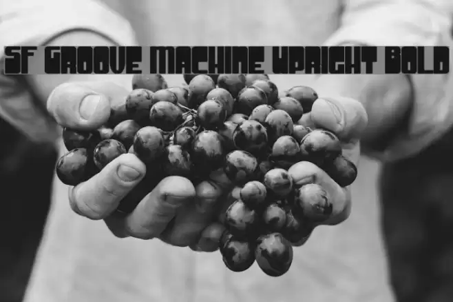 SF Groove Machine Upright Bold フォント examples