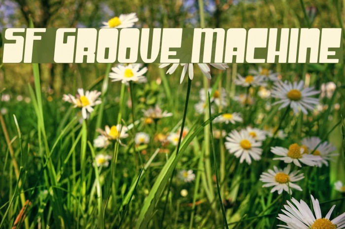 SF Groove Machine Fonte examples