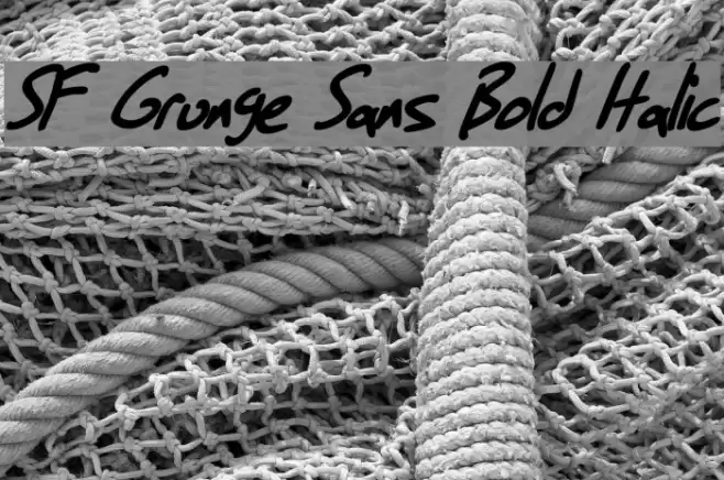 SF Grunge Sans Bold Italic Font examples