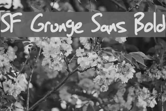 SF Grunge Sans Bold Font examples