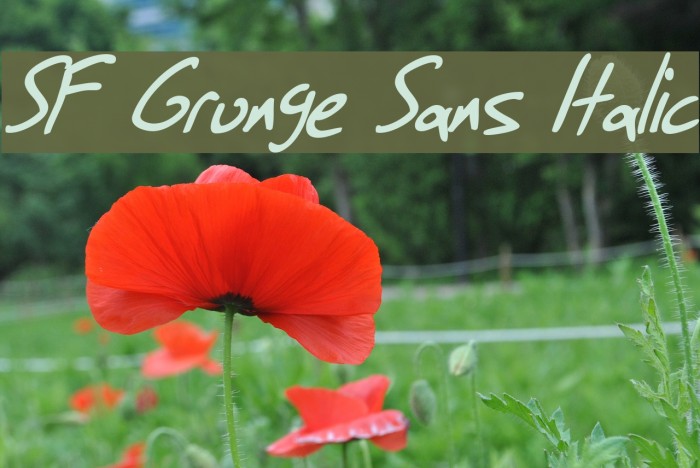 SF Grunge Sans Italic Font examples
