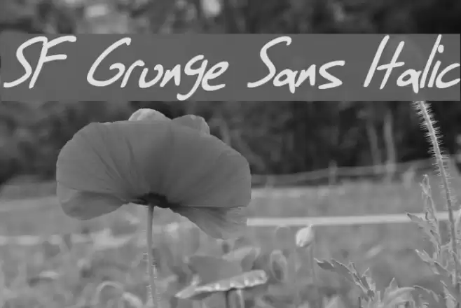 SF Grunge Sans Italic Font examples