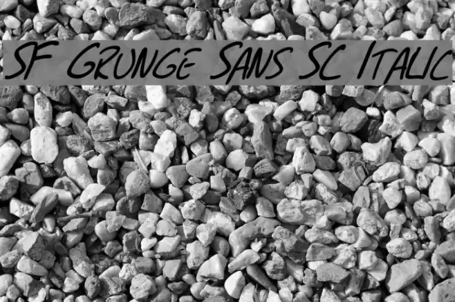 SF Grunge Sans SC Italic Font examples