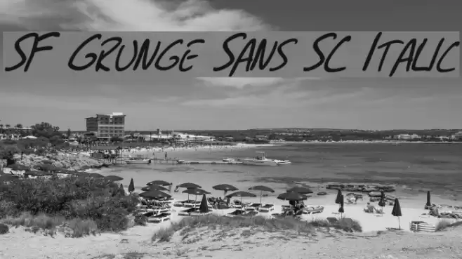 SF Grunge Sans SC Italic Font examples