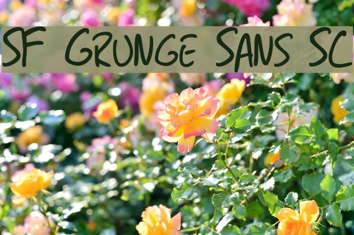 SF Grunge Sans SC Font examples