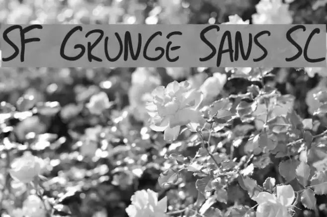 SF Grunge Sans SC Font examples