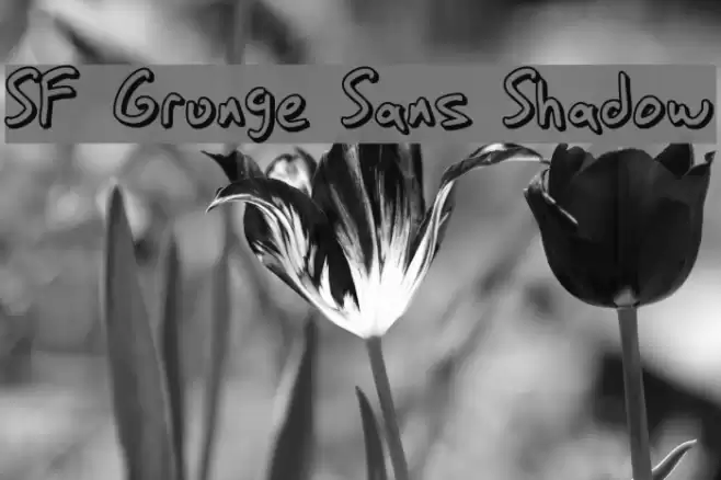 SF Grunge Sans Shadow フォント examples