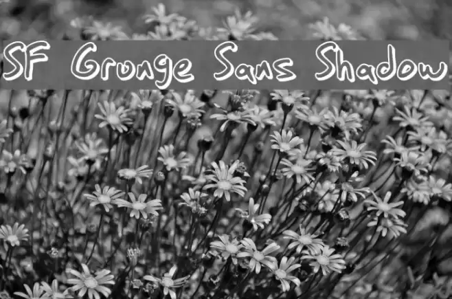 SF Grunge Sans Shadow フォント examples
