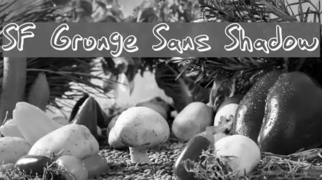 SF Grunge Sans Shadow フォント examples