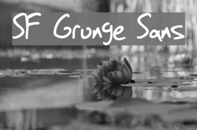 SF Grunge Sans Font examples