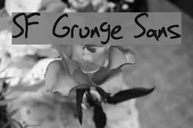 SF Grunge Sans Font examples