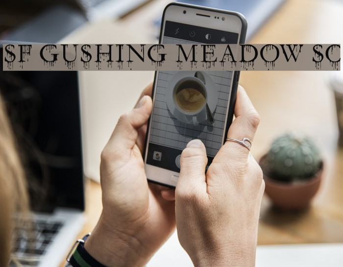 SF Gushing Meadow SC Font examples