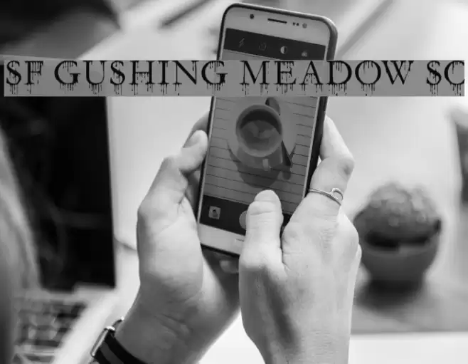 SF Gushing Meadow SC Шрифта examples