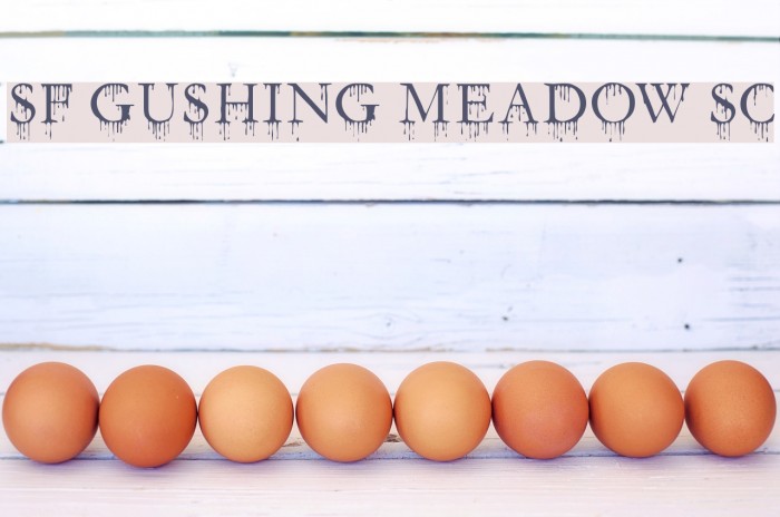 SF Gushing Meadow SC Font examples