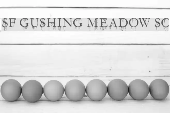 SF Gushing Meadow SC Шрифта examples