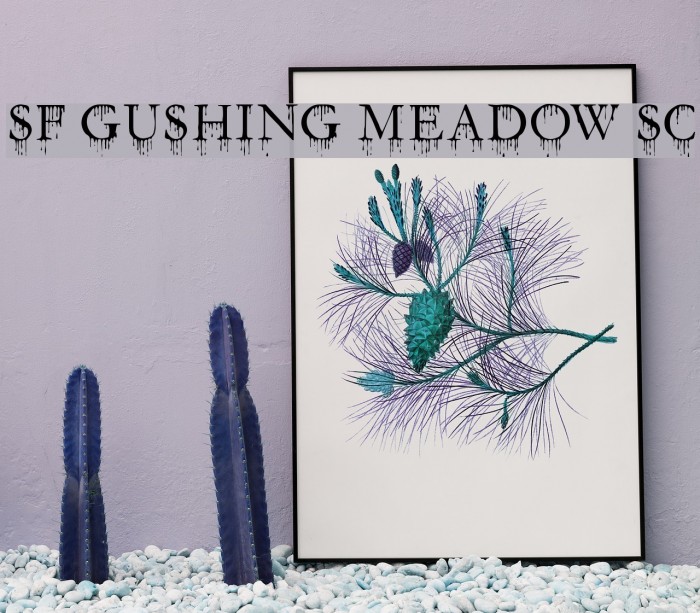 SF Gushing Meadow SC Font examples