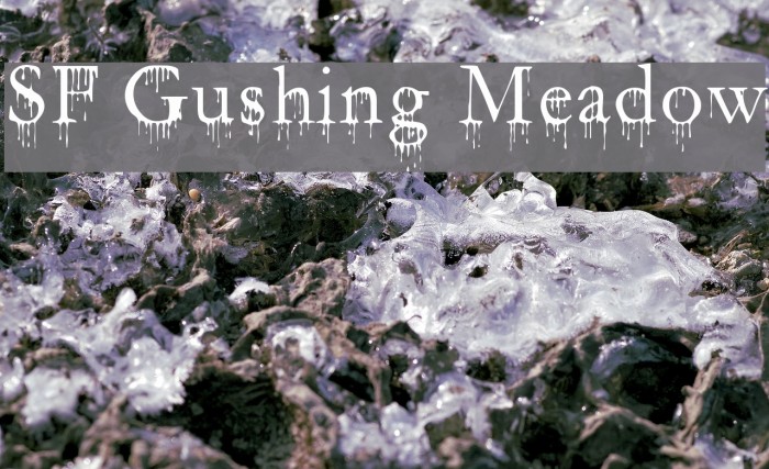 SF Gushing Meadow Font examples