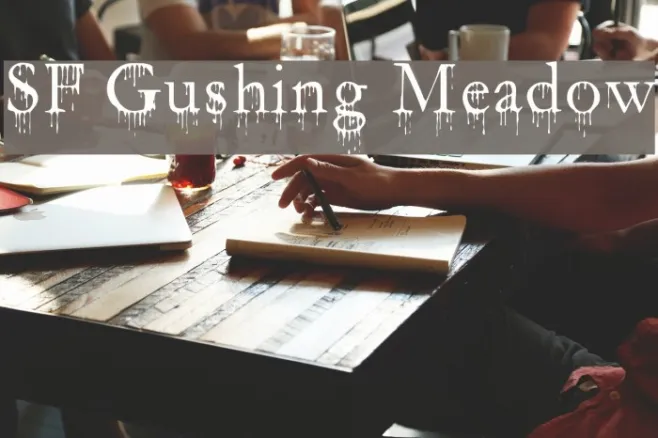 SF Gushing Meadow Example 3