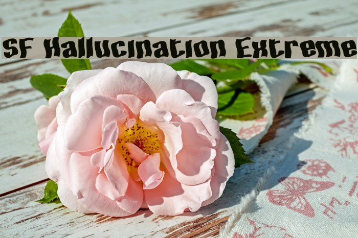 SF Hallucination Extreme Schriftart examples