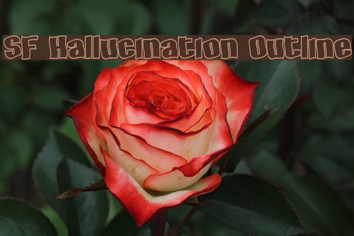 SF Hallucination Outline Font examples