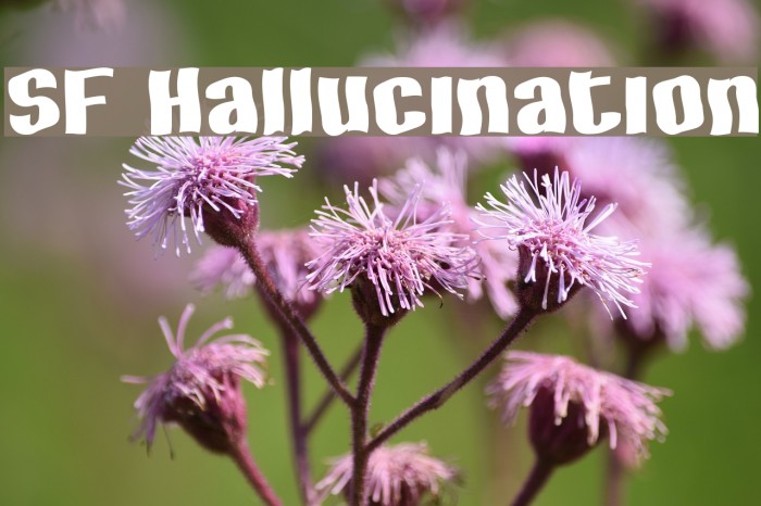 SF Hallucination Font examples