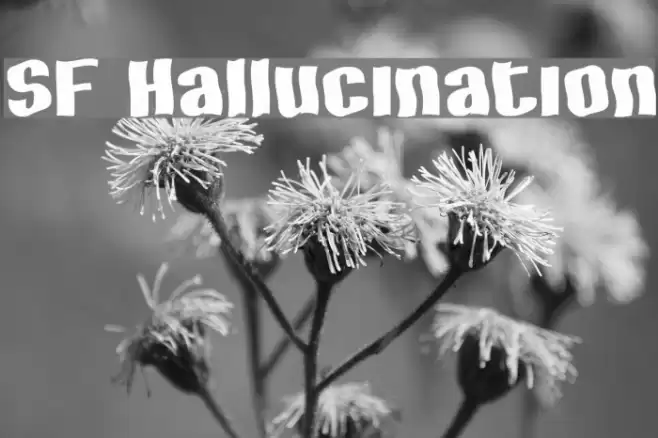 SF Hallucination Polices examples