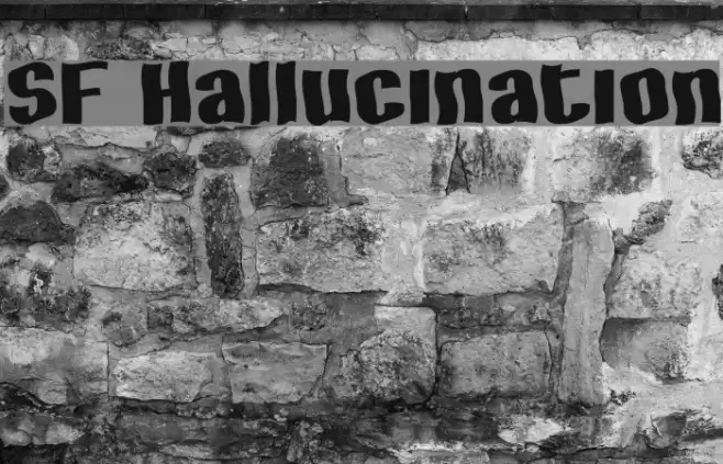 SF Hallucination Polices examples