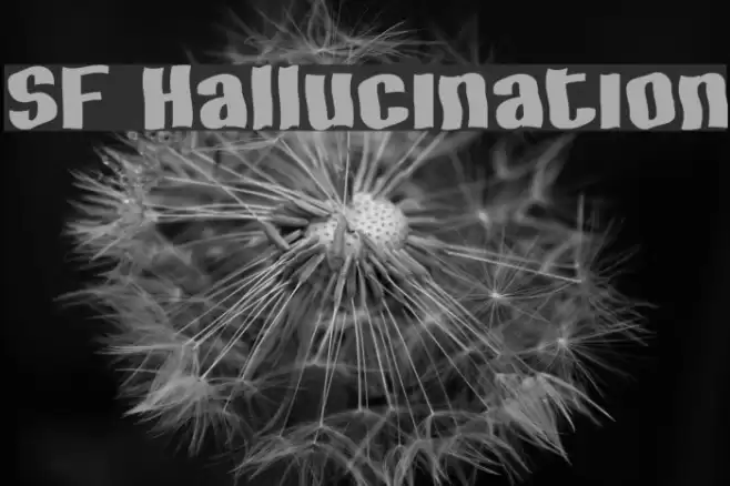 SF Hallucination Polices examples