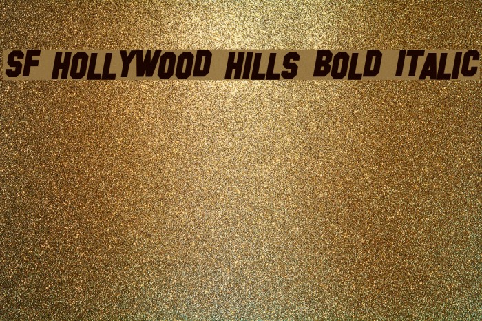 SF Hollywood Hills Bold Italic Font examples
