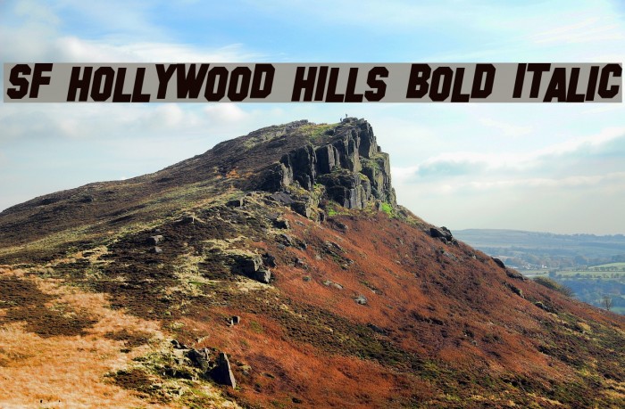 SF Hollywood Hills Bold Italic Font examples