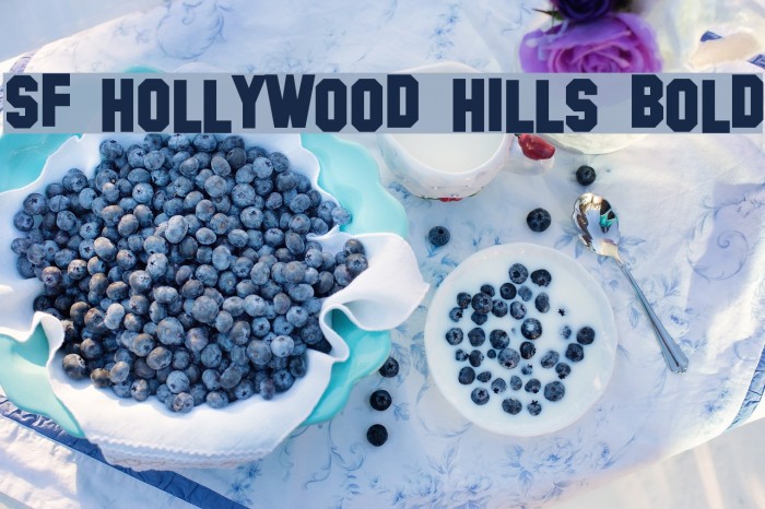 SF Hollywood Hills Bold Font examples