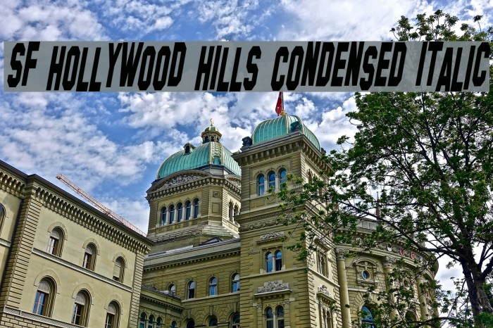 SF Hollywood Hills Condensed Italic Font examples
