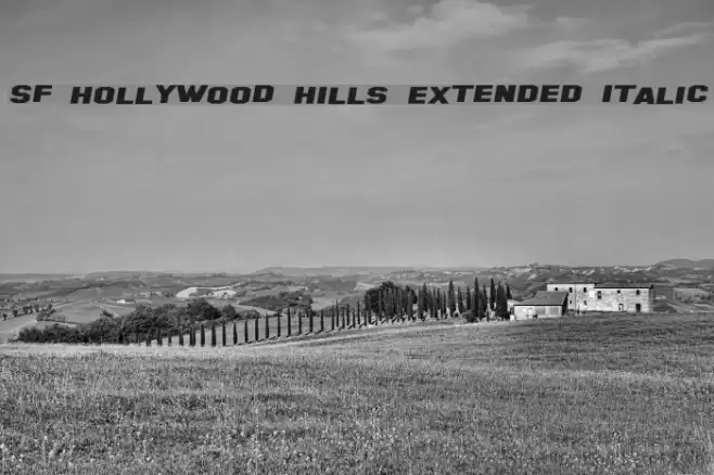 SF Hollywood Hills Extended Italic Font examples