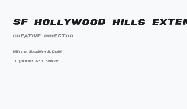 SF Hollywood Hills Extended Italic Business Card