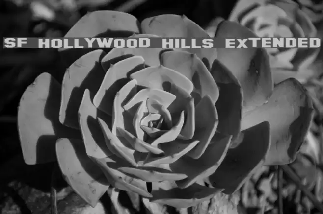 SF Hollywood Hills Extended Fonte examples
