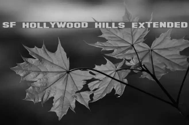SF Hollywood Hills Extended Fonte examples