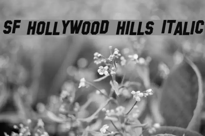 SF Hollywood Hills Italic Font examples