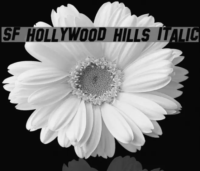 SF Hollywood Hills Italic Font examples