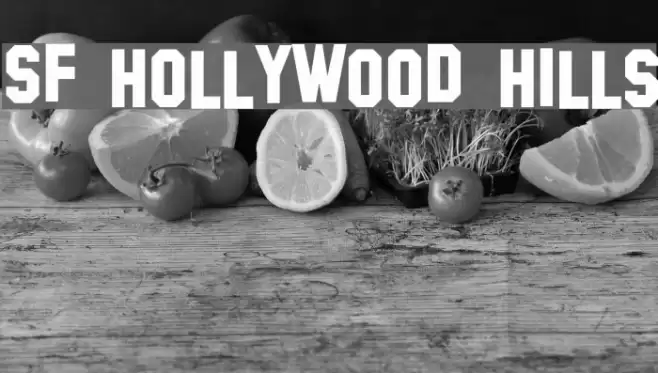 SF Hollywood Hills Font examples