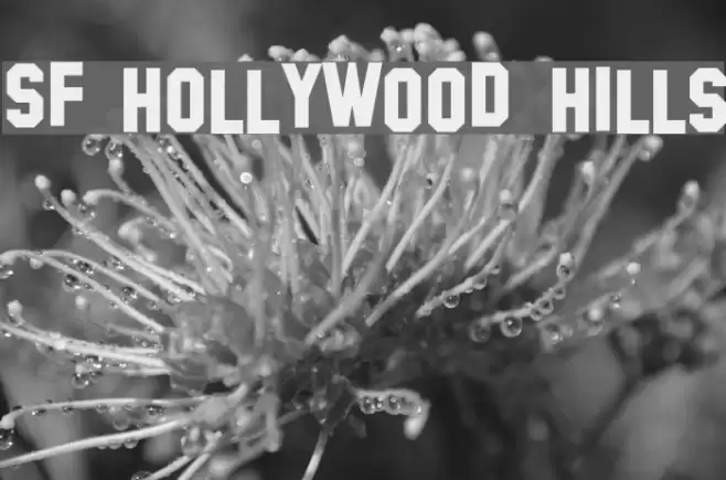 SF Hollywood Hills Font examples