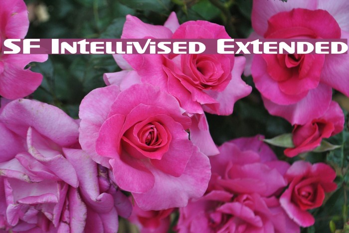 SF Intellivised Extended 字体 examples